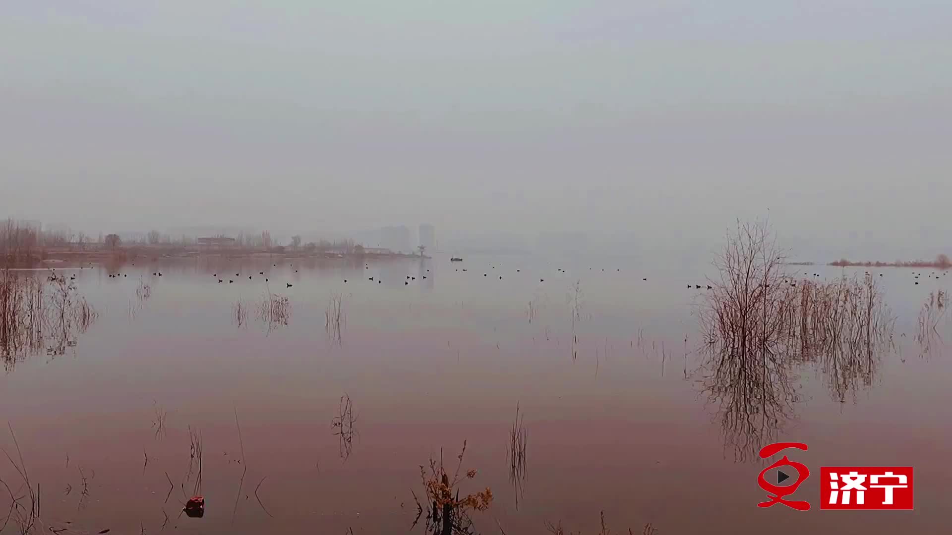 更济宁 | 夕阳下的孟子湖