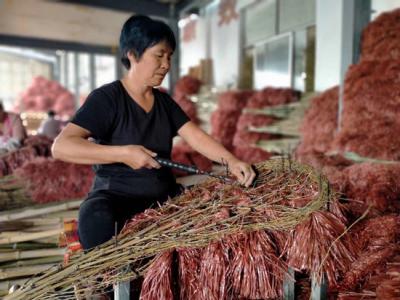 “中国扫帚第一村”：家家户户做扫帚 年产值超八千万