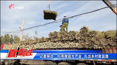 記者探訪：掃帚做成大產業 扎出鄉村致富路