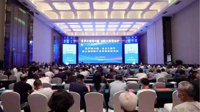 以蒜为媒·共享发展丨第21届中国?金乡大蒜节开幕