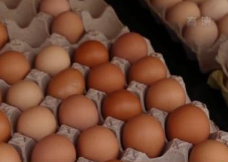 雞蛋批發價快速上漲：1斤漲1元 還會繼續漲嗎？