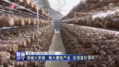 邹城大束镇：做大蘑菇产业 实现富民强村