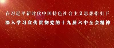 濟寧高新區黃屯街道召開黨的十九屆六中全會精神宣講學習會議