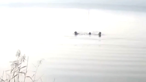 更濟寧 | “釣魚兄弟”跳入冰河 游百米勇救落水者