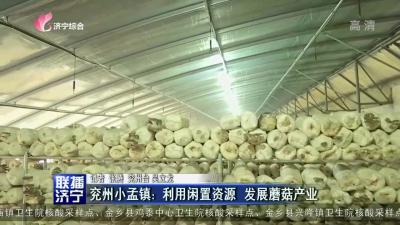 兖州小孟镇：利用闲置资源 发展蘑菇产业