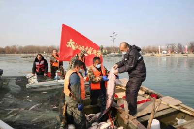 2022濟寧第七屆太白湖捕魚節開幕，頭魚重達88.7斤！