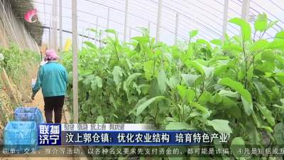 汶上郭倉鎮:優化農業結構  培育特色產業