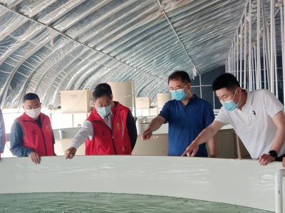 第一書記赴鄒城學習工廠化循環水養殖模式 助力魚臺漁業發展