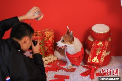 “它經濟”賦予浪漫屬性 中國年輕人過節不忘寵物“伴侶”