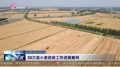 30萬畝小麥收獲工作進展順利