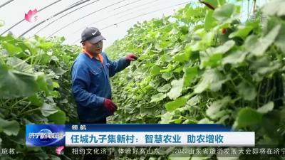 【領航】 任城九子集新村：智慧農業  助農增收
