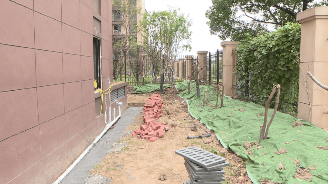 網友投訴：小區公共綠化帶被破壞占用 部門：限時整改
