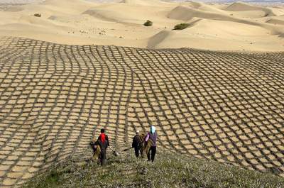 總書記心中的美麗中國·沙 困難面前不低頭 敢把沙漠變綠洲