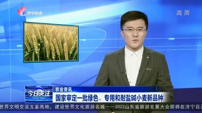 國家審定一批綠色、專用和耐鹽堿小麥新品種