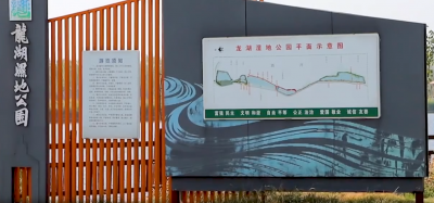 跟著旅發大會游兗州丨來龍湖濕地公園 賞靚麗生態名片