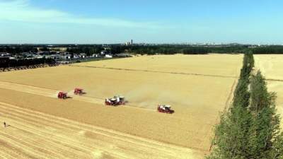 忙在三夏 | 嘉祥縣67.1萬畝小麥收獲完畢