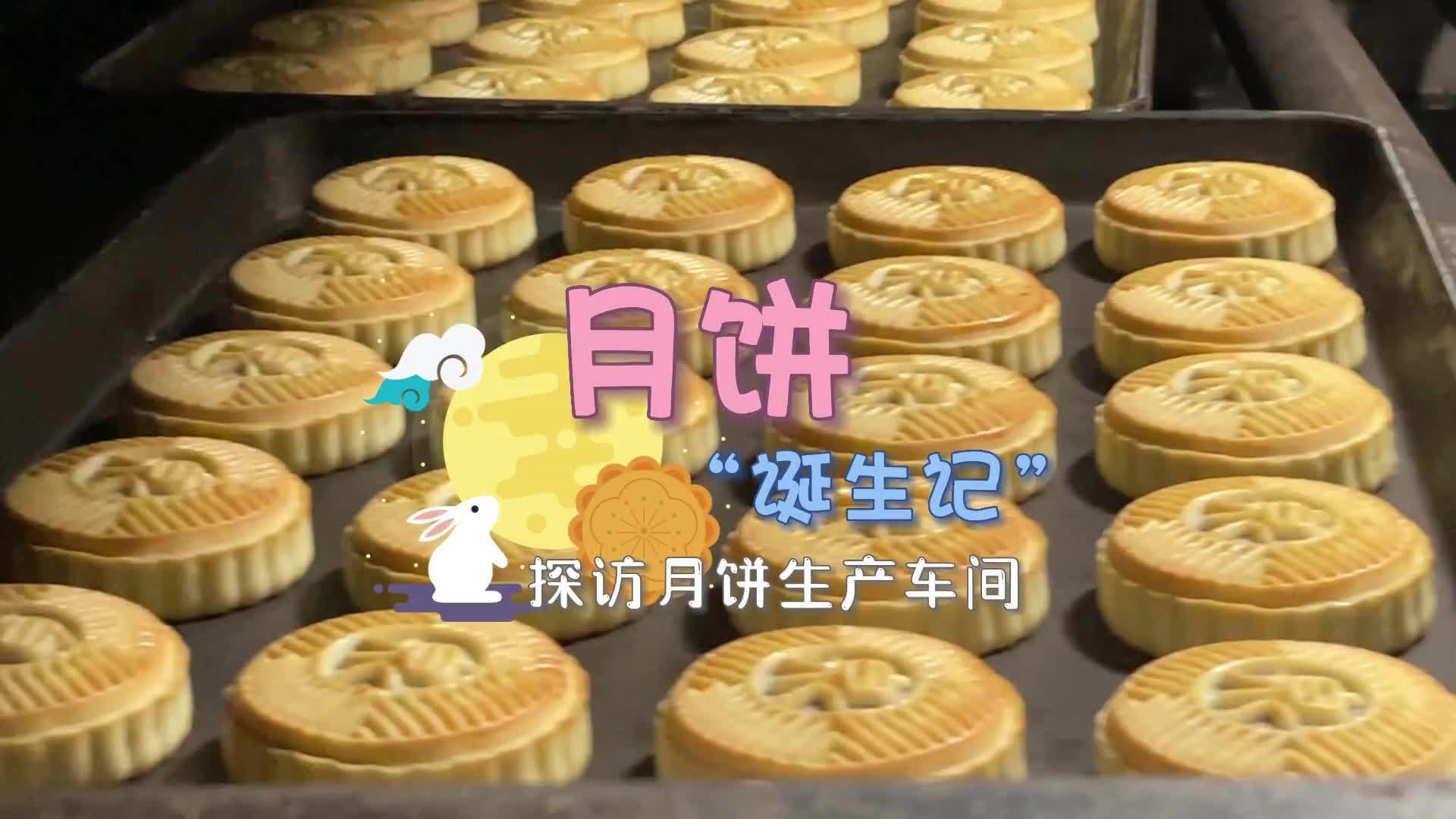 更济宁 | 月饼“诞生记” 探访月饼生产车间