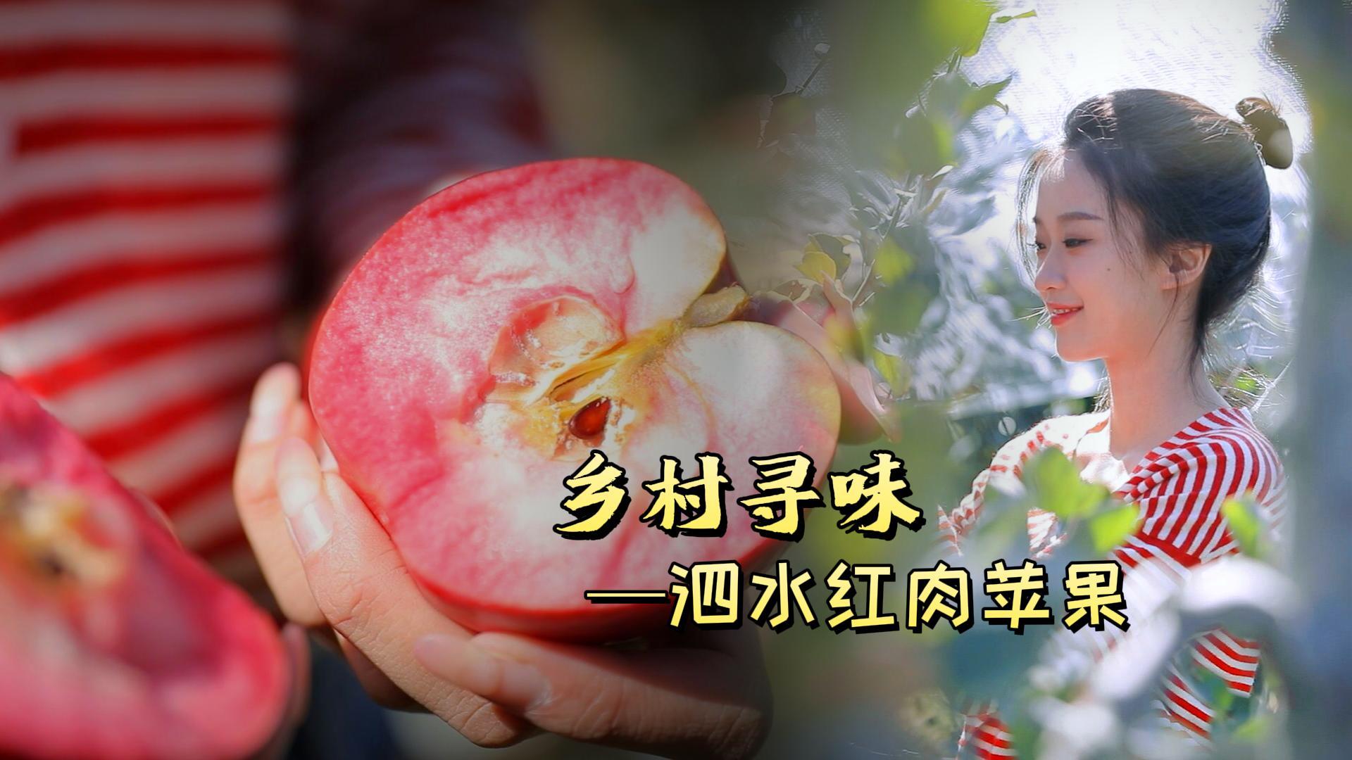 更济宁 | 乡村寻味——泗水红肉苹果