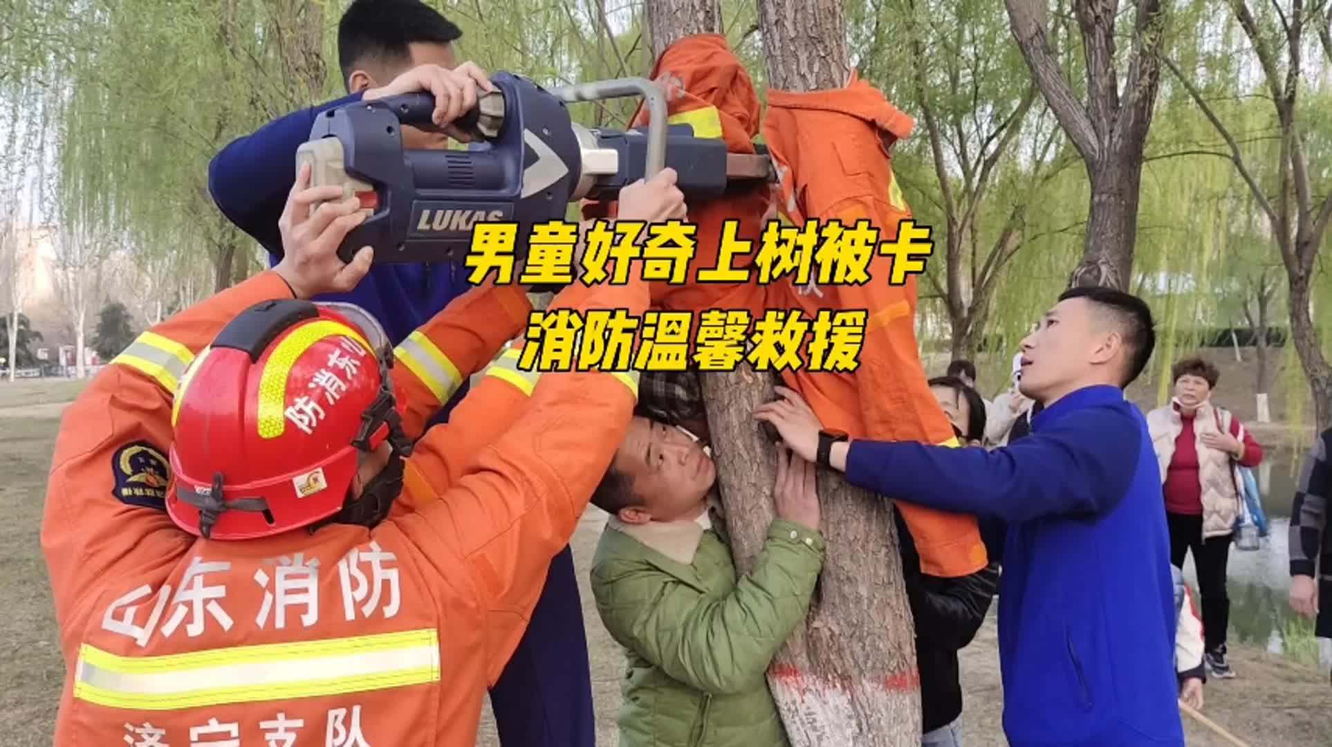 更济宁 | 男童好奇上树被卡 消防温馨救援