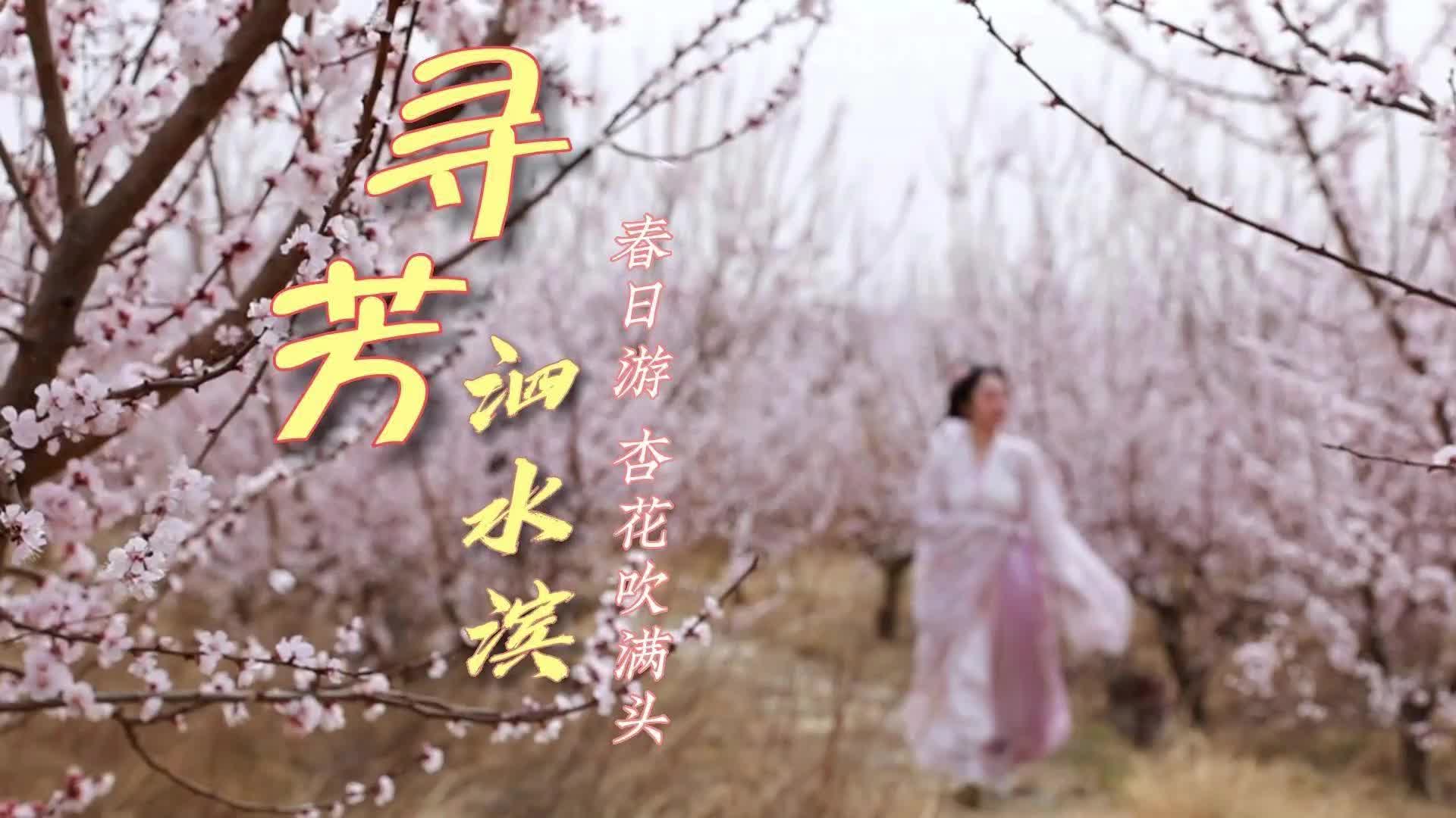 更济宁 | 寻芳泗水滨——春日游 杏花吹满头