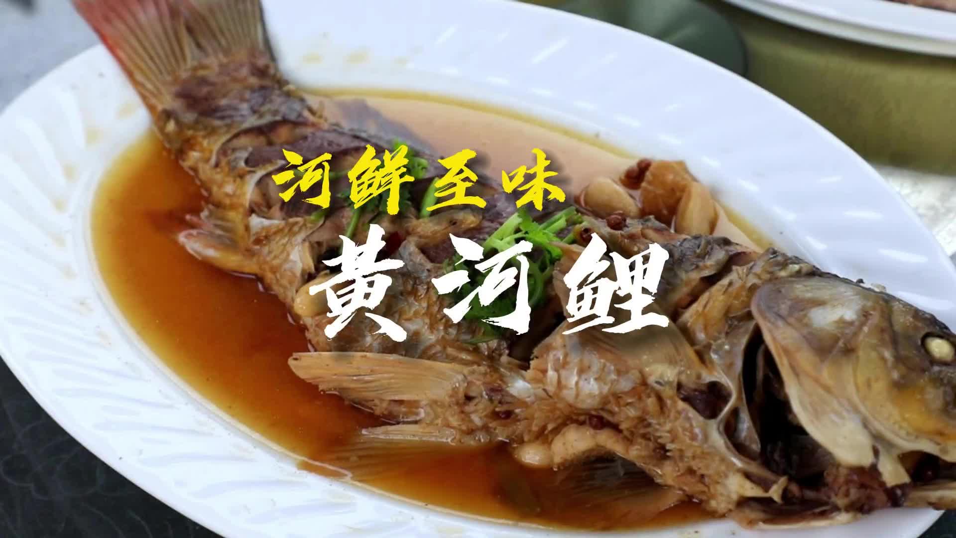 更济宁 | 河鲜至味——黄河鲤
