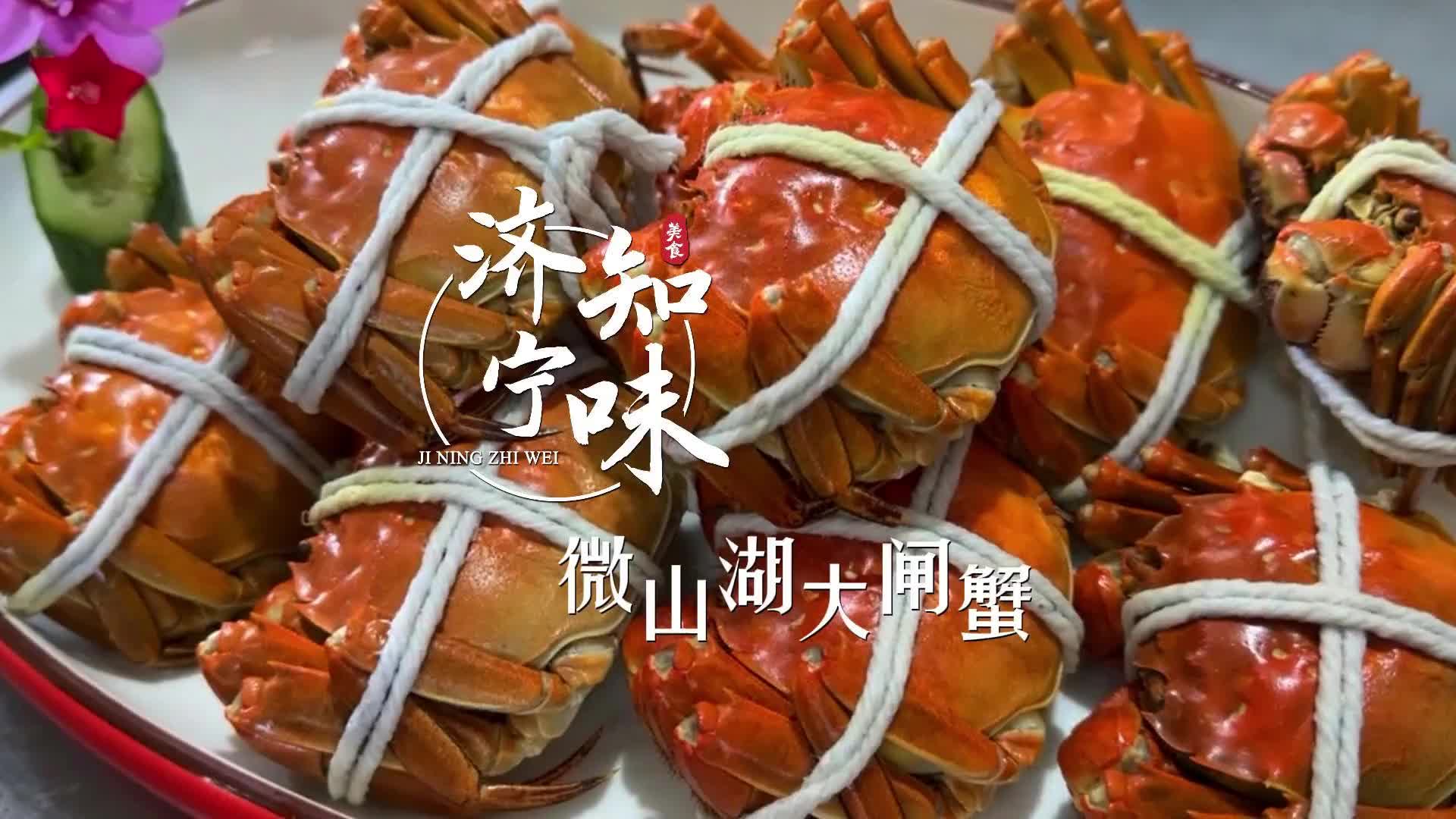 更济宁 | 济宁知味——微山湖大闸蟹