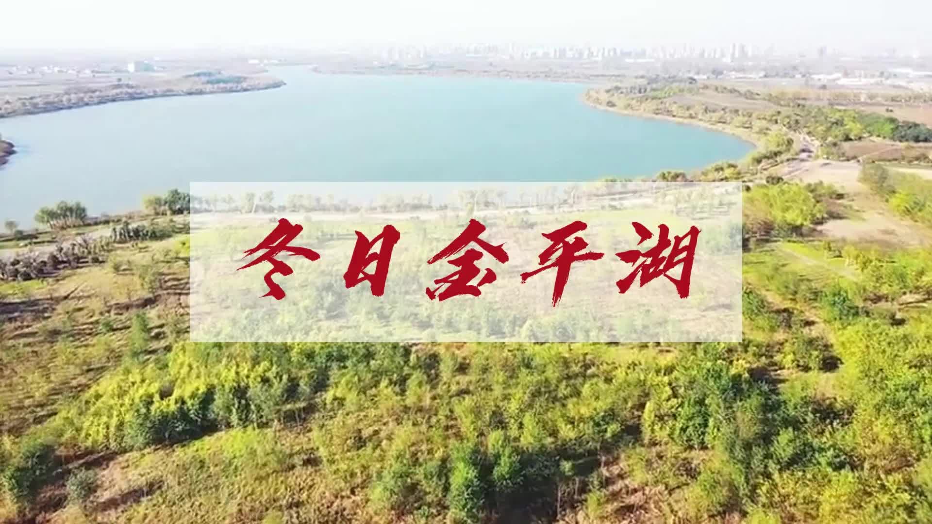 更济宁丨冬日金平湖