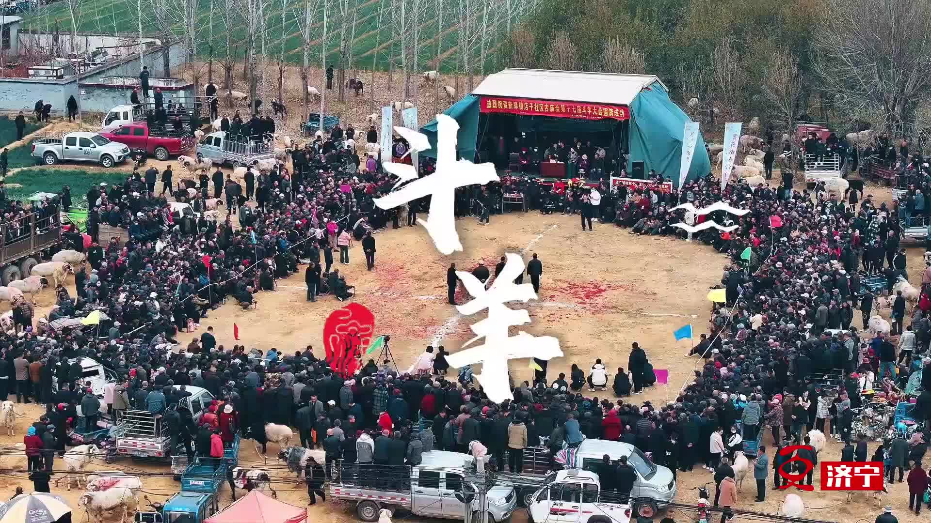 更济宁 | 兖州区新驿镇举办斗羊大赛