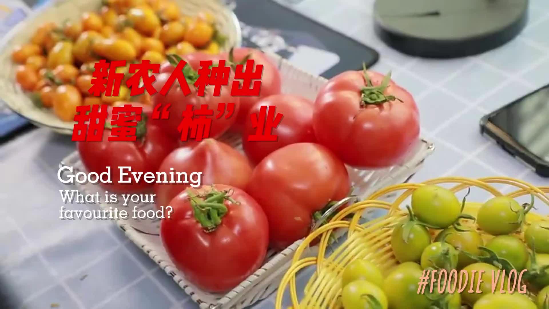 更济宁丨新农人种出甜蜜“柿”业