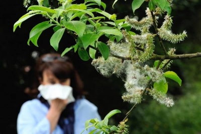 专家提醒,春季花粉过敏祸首是风媒花