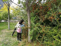 这是深秋的廖河公园，还有你心心念的菊花