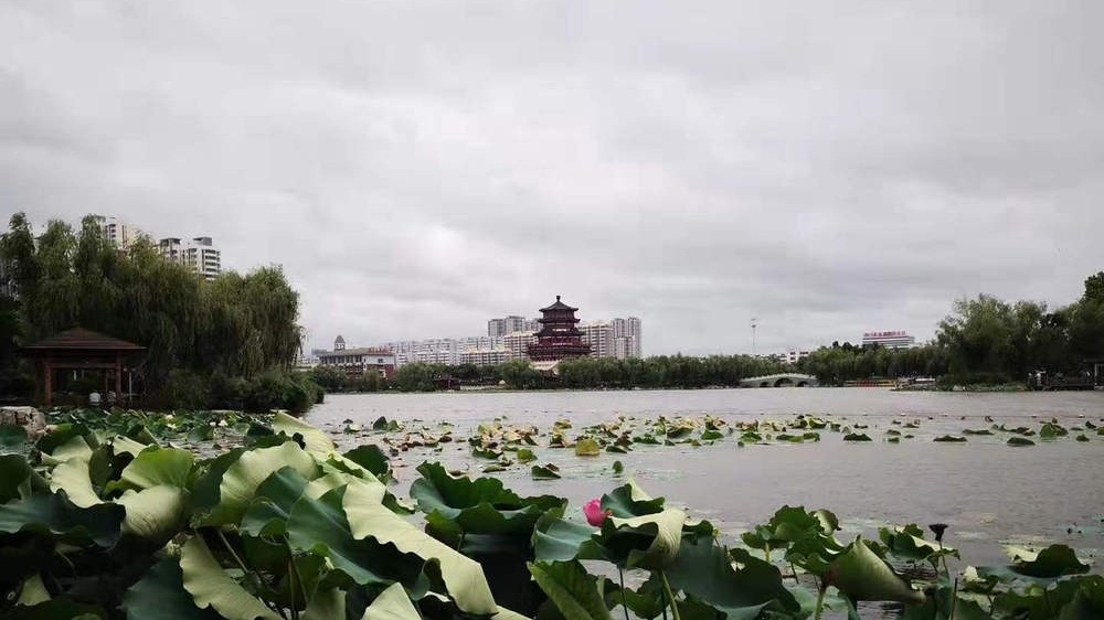 超强台风“利奇马”未到，济宁南池公园上空乌云密布！

