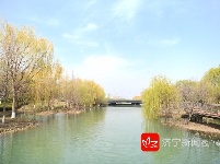 组图丨廖沟河湿地公园的春天