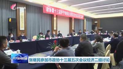 张继民参加市政协十三届五次会议经济二组讨论