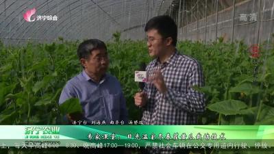 专家课堂：日光温室冬春茬黄瓜栽培技术