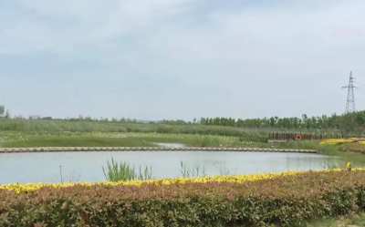 这里是山东·济宁丨“治水”为核 济宁构建自然生态画卷