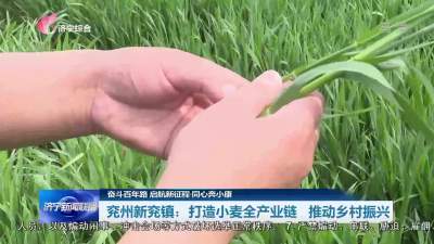 同心奔小康 | 济宁兖州区：打造小麦全产业链 推动乡村振兴