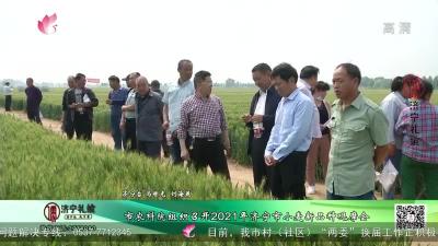 市农科院组织召开2021年济宁市小麦新品种观摩会