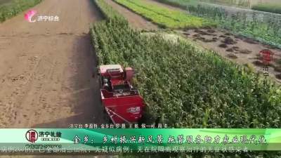 金乡：乡村振兴新风景 托管服务助力农业现代化