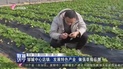 邹城中心店镇：发展特色产业  做强草莓品牌