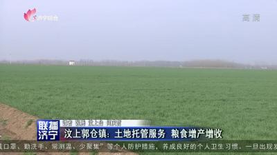 汶上郭仓镇:土地托管服务  粮食增产增收