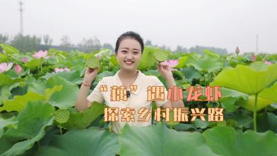 更济宁 | “藕”遇小龙虾 探索乡村振兴路