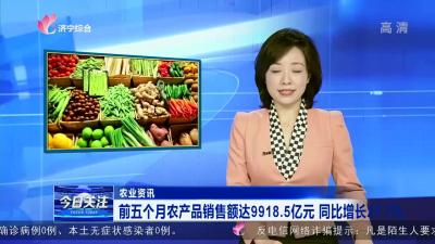 前五个月农产品销售额达9918.5亿元同比增长27.7%