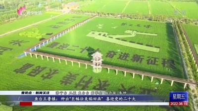 魚臺王魯鎮：種出“巨幅壯美稻田畫” 喜迎黨的二十大
