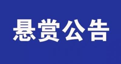 濟寧市兗州區人民法院發布懸賞公告 