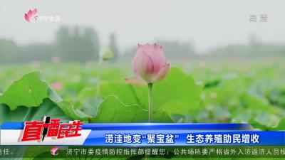 【乡村振兴】 涝洼地变“聚宝盆” 生态养殖助民增收