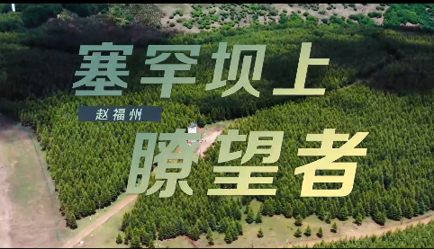 《这十年》微纪录片 第2集《赵福州：塞罕坝上瞭望者》