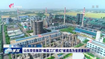 山东荣信集团“精益工厂模式”被遴选为省质量标杆