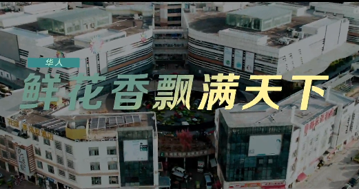 《这十年》微纪录片 第15集《华人：鲜花香飘满天下》