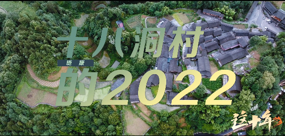《这十年》微纪录片 第1集《施康：十八洞村的2022》